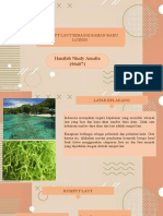 Hanifah Nindy Amalia - PPT KBAK PDF