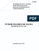 Tumor filodes de mama: descrição de um caso