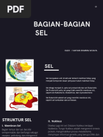 BAGIAN-BAGIAN SEL - BIOLOGI KELAS XI