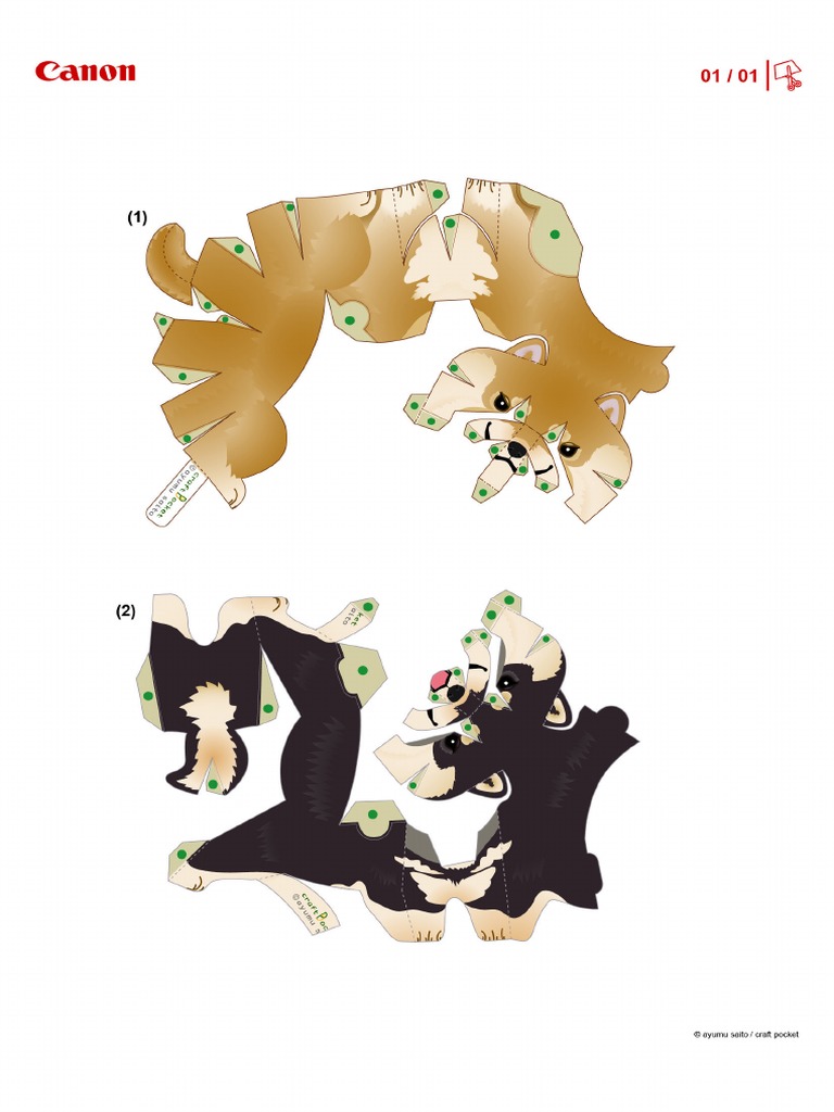 CNT 0028372 01 | PDF