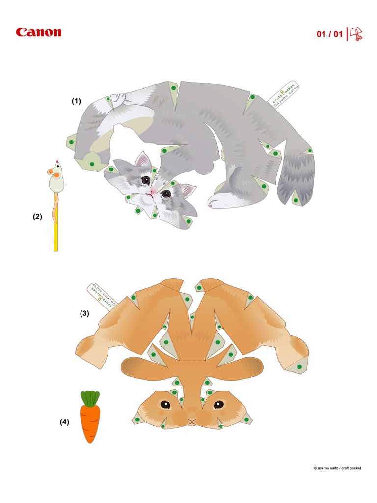 CNT 0028652 01 | PDF