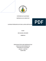 LP Osteoporosis