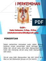 11 - Anatomi Fisiologi Sistem Perkemihan Fix - Biomedik Kesmas