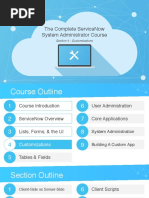 The Complete Servicenow System Administrator Course: Section 4 - Customizations