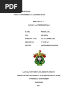 Download Cahaya Dan Pertumbuhan by ErviaNi Lestari SN54990576 doc pdf