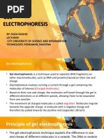 Gel Electrophoresis