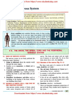 ICSE Class 10 Biology Chapter 09 The Nervous System