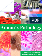 Adnan's Pathology