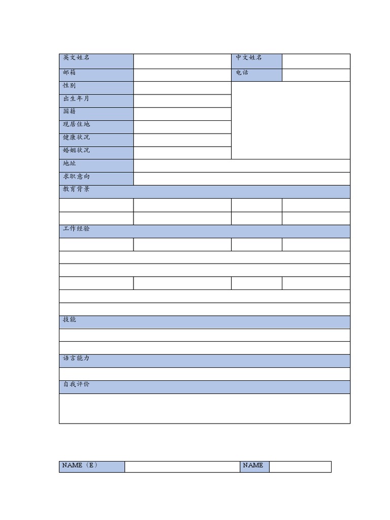 chinese-cv-template-doc-logical-biz