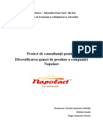 Proiect Consultanță - Napolact SA