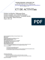 Proiect de Activitate- CLR