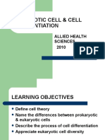 1. Eukaryotic Cell & Cell Differentiation