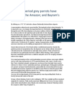 Extended Period Grey Parrots Have Existed in The Amazon and Bayram's Tree