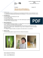 2° ABCD PRACTICA  N°2 DE CIENCIA Y TECNOLOGÍA -NUTRICIÓN VEGETAL (1)