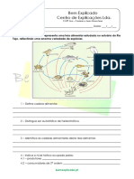 B.2.1 - Ficha de Trabalho - Cadeias e Teias Alimentares