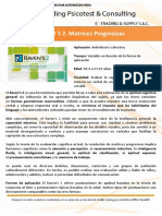 RAVEN´S 2. Matrices Progresivas (3)