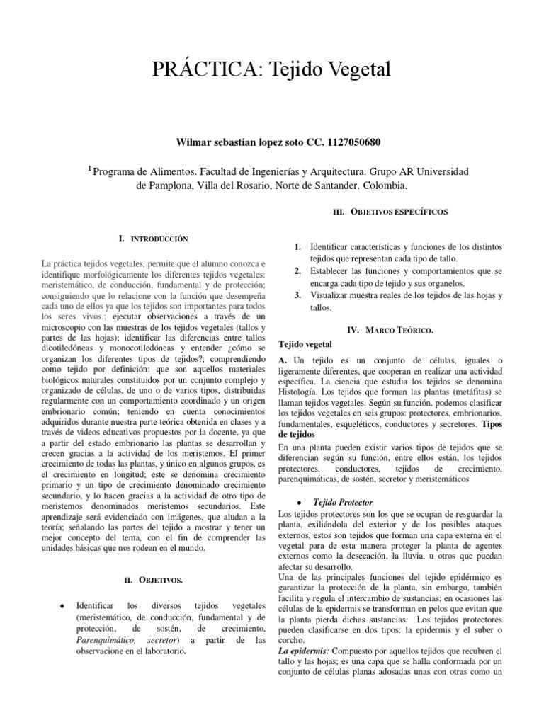 Identificación de Tejidos Vegetales | PDF | Tallo de la planta | Raíz