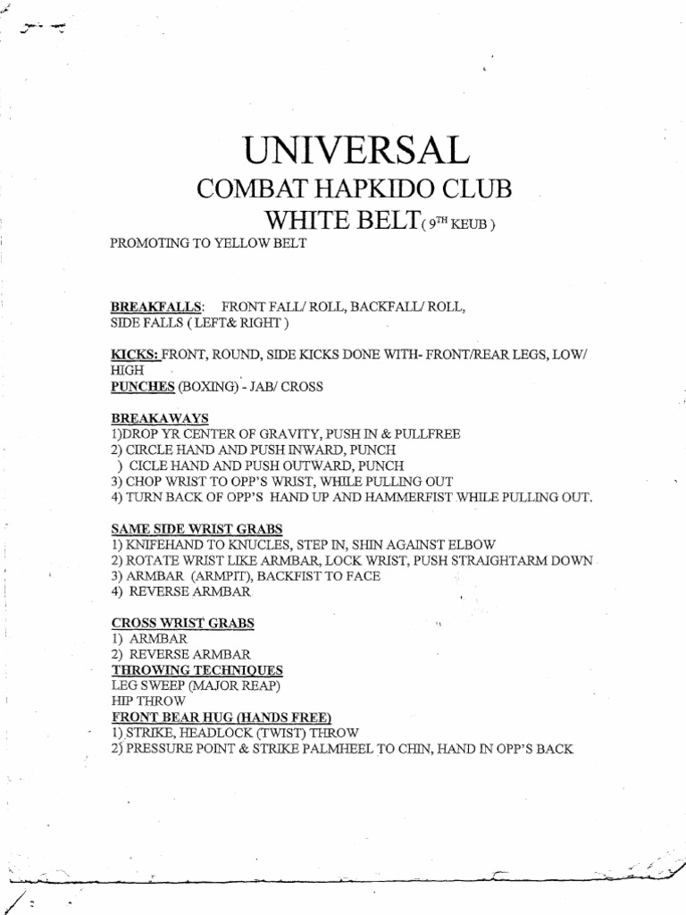 Promotion Requirements and Techniques for Advancing from Yellow Belt to