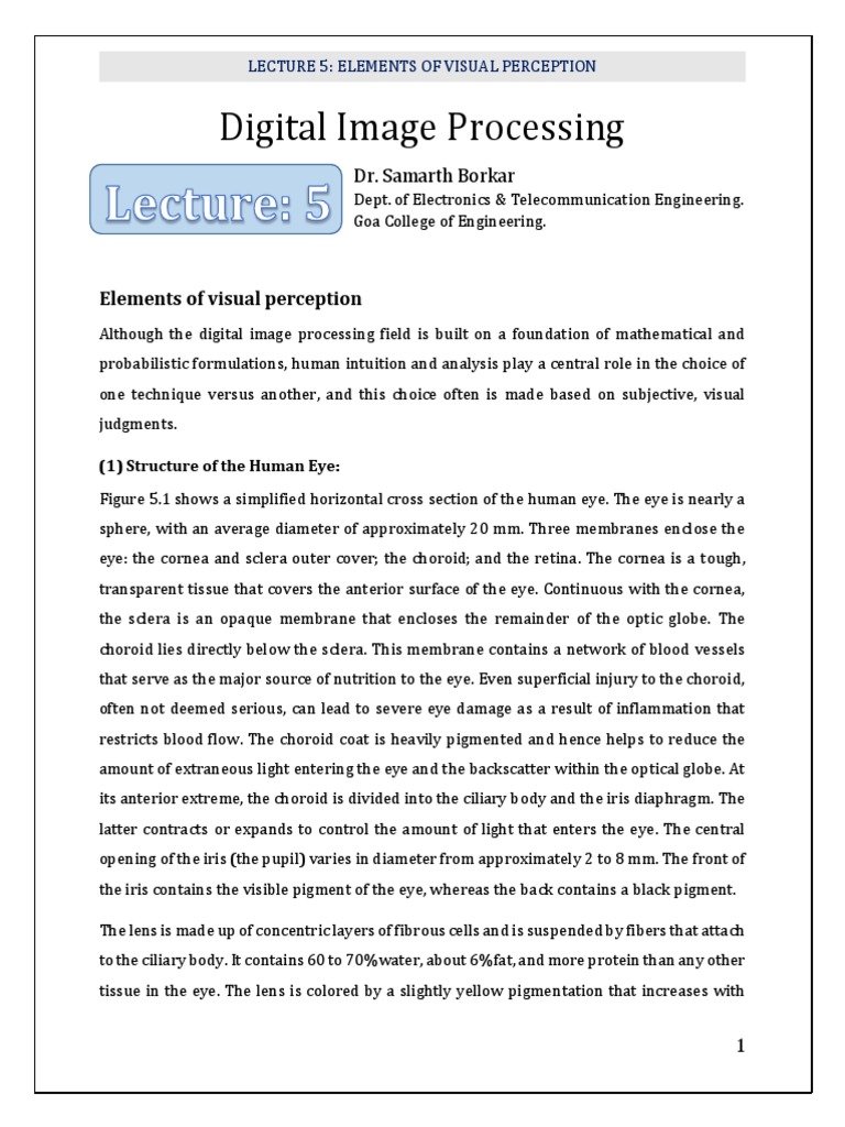 Elements of Visual Perception in Imaging | PDF | Eye | Retina