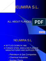 Neumira S.L.: All About Flanges