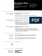 modelo-curriculum-online-gratis-word-doc-97-2003.doc_0