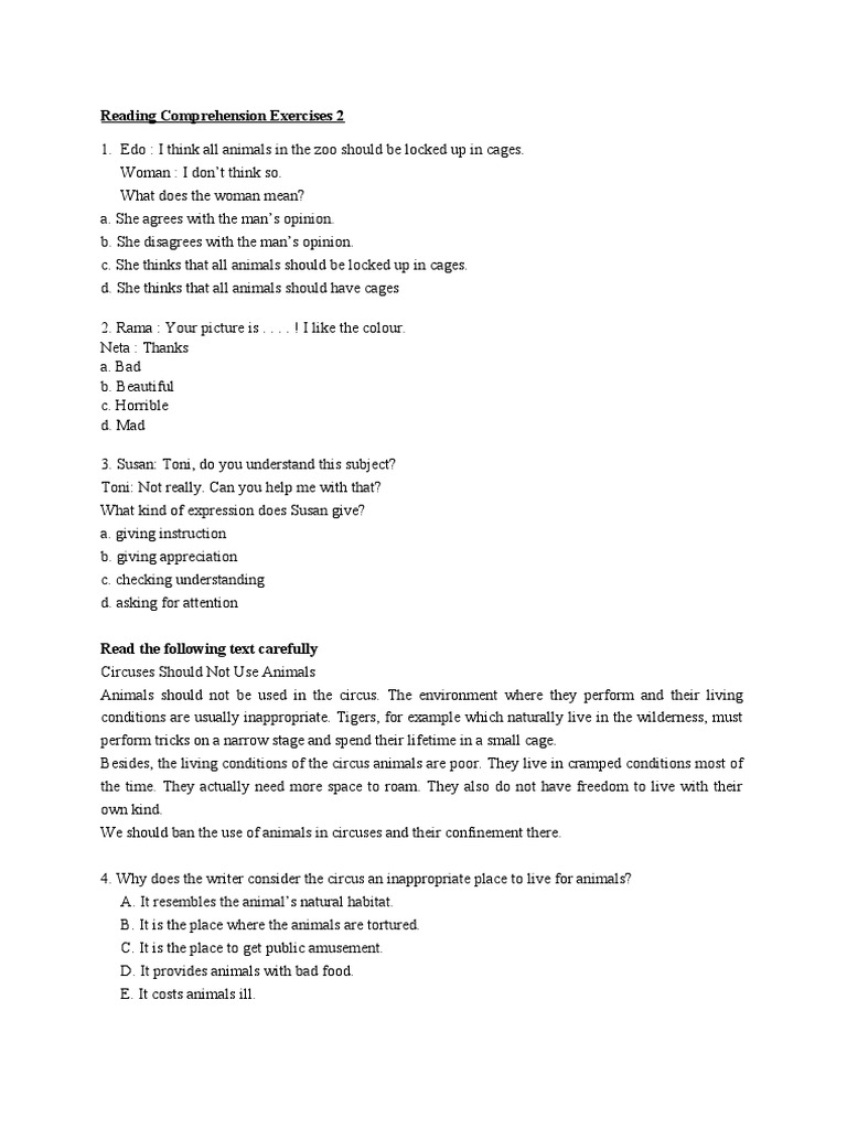 Reading Comprehension 1 | PDF | Kite | Wound