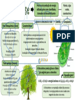 Mapa Da Cabessa Fotocinteze