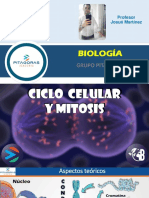 T10 - Ciclo Celular y Mitosis