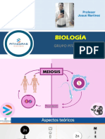 T11 - Meiosis