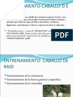 Plan de Enmtrenamiento Raid Quico Yebra