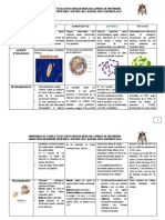 Enfermedades Infecciosas de La Infancia - Pediatría 2020