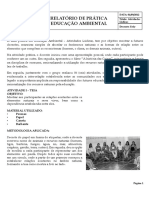 Relatório de Prática - Atividades Lúdicas.doc