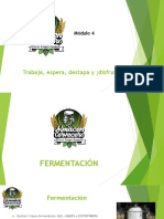 Módulo4Fermentación