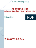 Bài Giảng Xử Lý Các Trường Hợp Động Vật Cắn, Côn Trùng Đốt