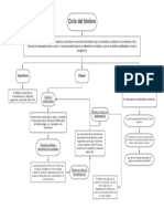 Ciclo Del Fósforo 