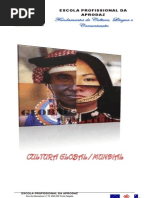 Trabalho Individual de Cultura Global e Mundial Da UFCD de F.C.L.C