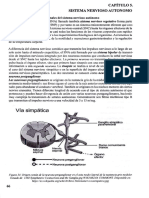 Fisiologia SISTEMA NERVIOSO AUTONOMO de Valarezo