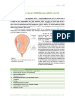 Capítulo 20. Rotura Prematura de Membranas (RPM O Rpo) : Página - 202