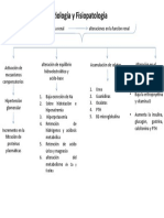 Enfermedad Renal Crónica 1