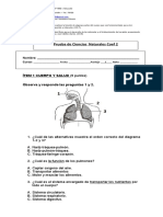 315375900 Prueba Ciencias Naturales Segundo Basico Coef 2 Docx