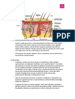 Guia completo sobre os tipos de pele e suas características