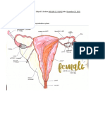 Activity 12: Reproductive System Name: YU, DENISE KYLA BERNADETTE A. Subject & Section: NSG100.2 - W14-2 Date: December 15, 2021