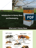 Introduction to Honey Bees and Beekeeping