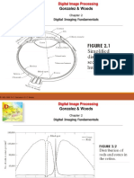 Gonzalez & Woods: Digital Imaging Fundamentals