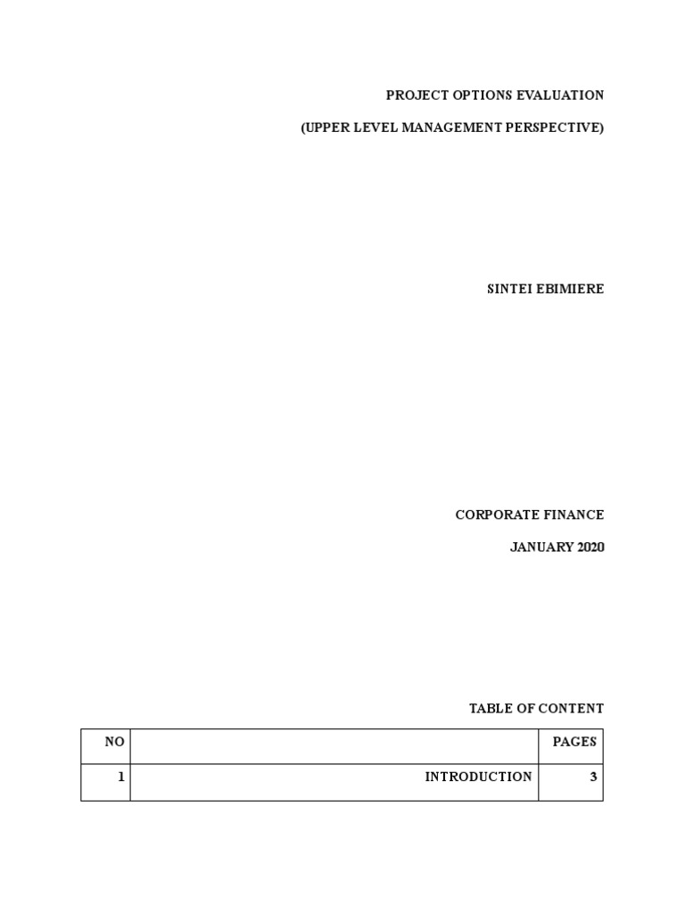 project-options-evaluation-upper-level-management-perspective-pdf