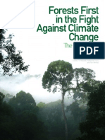 Forests First Report