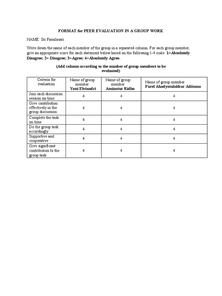 Format For Peer Evaluation in A Group Work | PDF