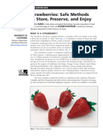 Strawberries: Safe Methods To Store, Preserve, and Enjoy: What Is A Strawberry?
