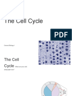 The Cell Cycle