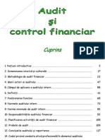 Audit I Control Financiar